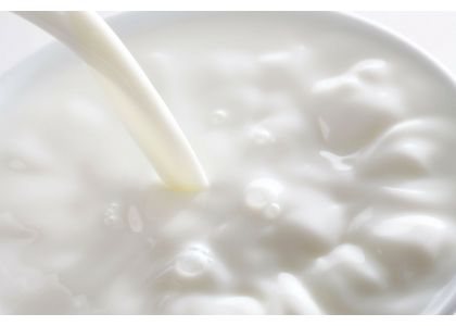 Global dairy market: A slower price recovery