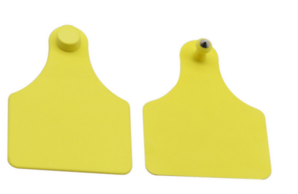 Conventional Ear Tag