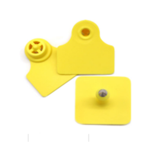 Conventional Ear Tag