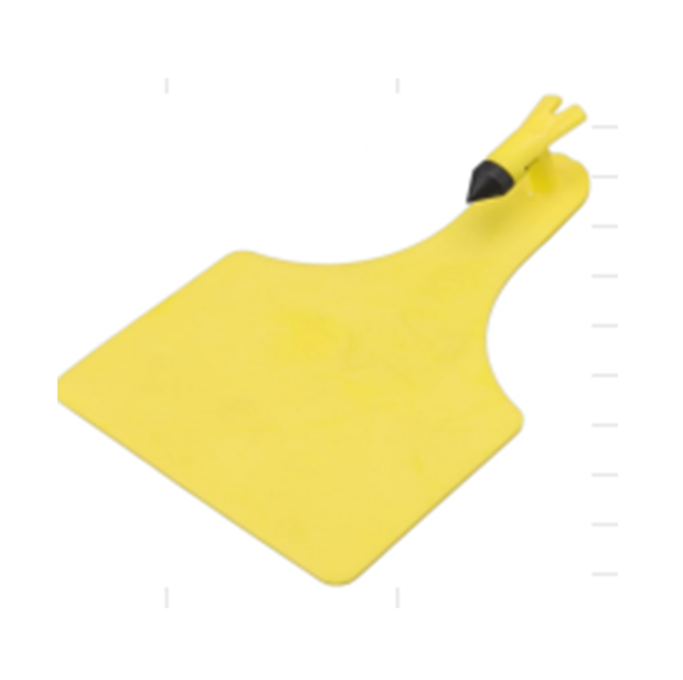 Conventional Ear Tag