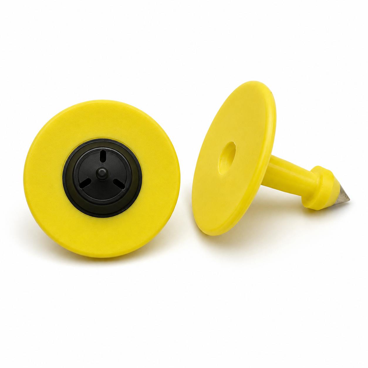 RFID Ear Tag