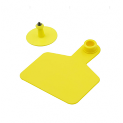 Conventional Ear Tag