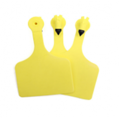 Conventional Ear Tag